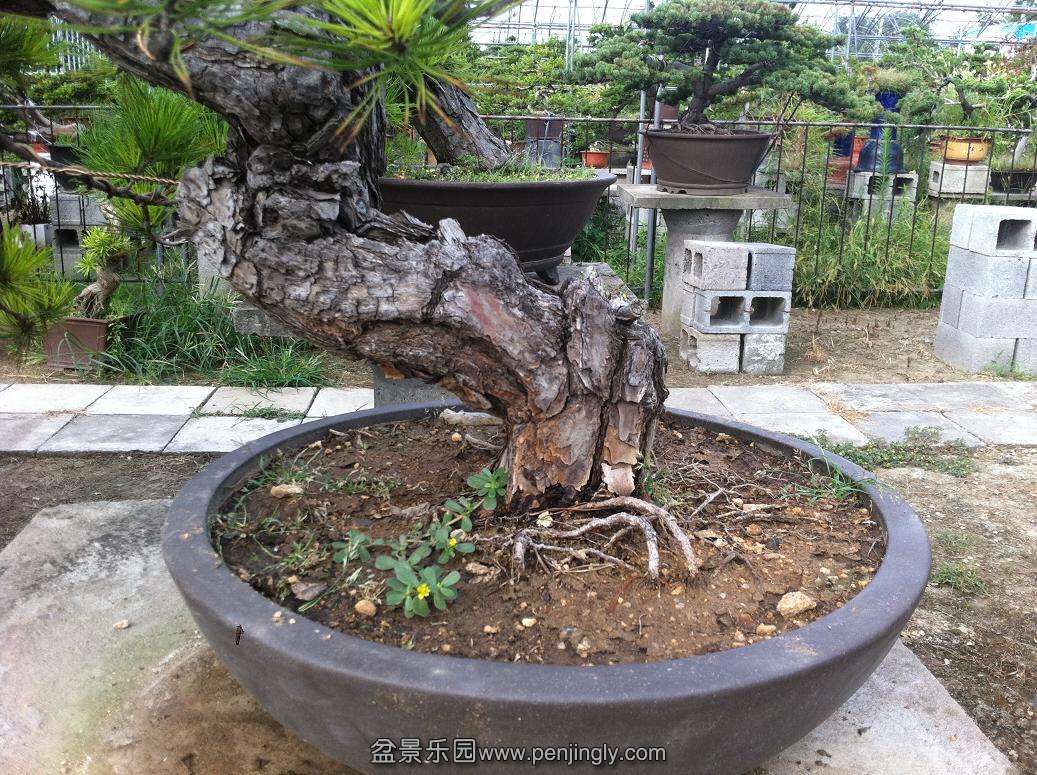 20130824 016.jpg