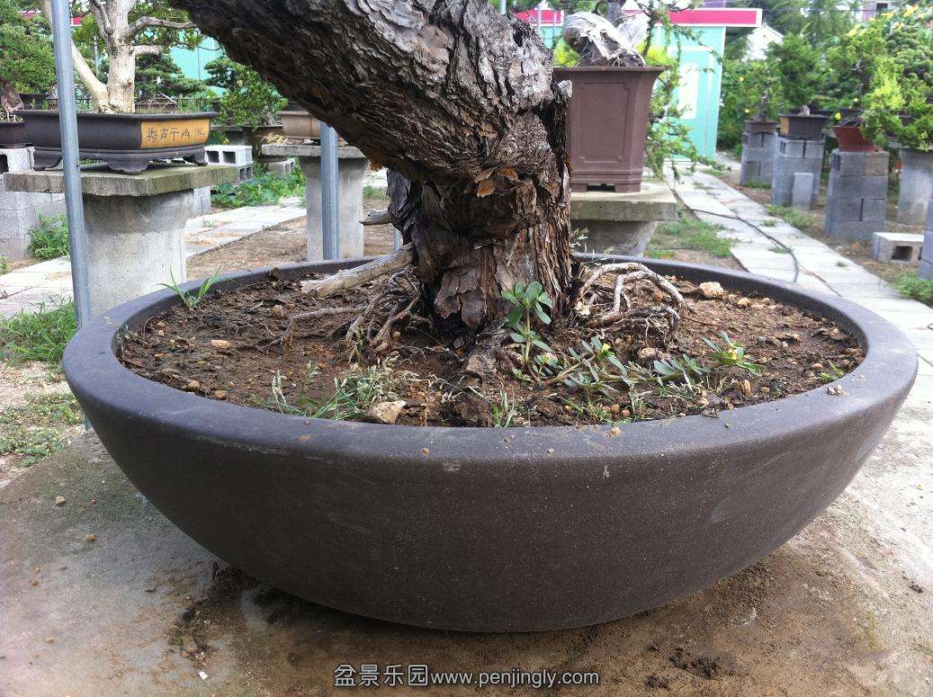 20130824 017.jpg