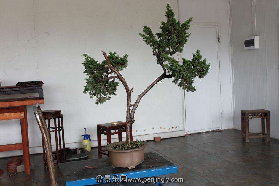 Ƭ 008.jpg
