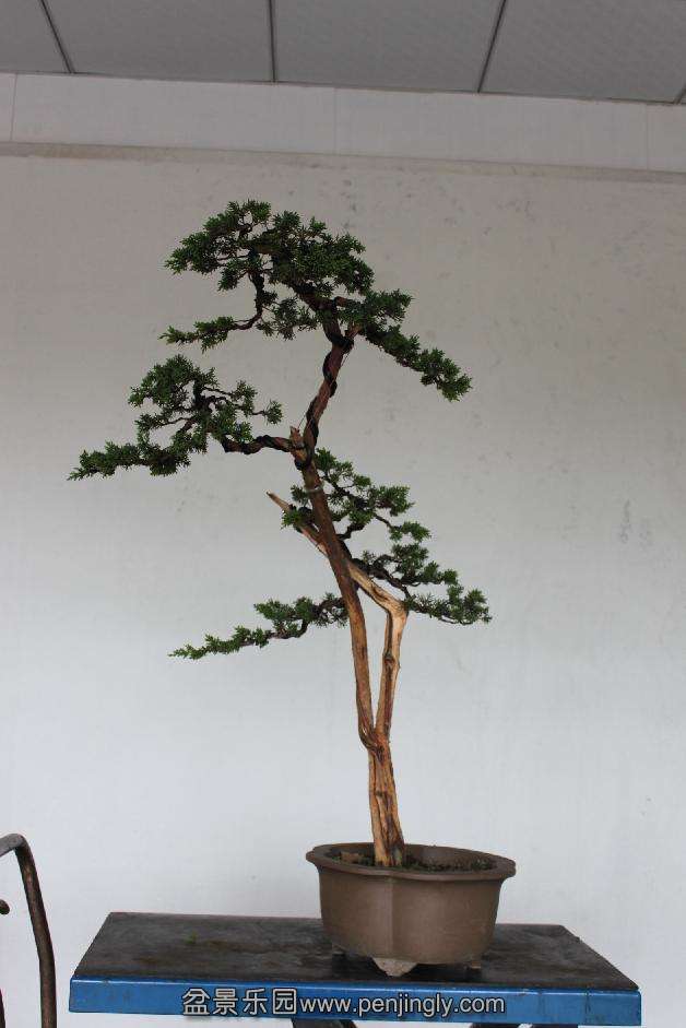 Ƭ 010.jpg