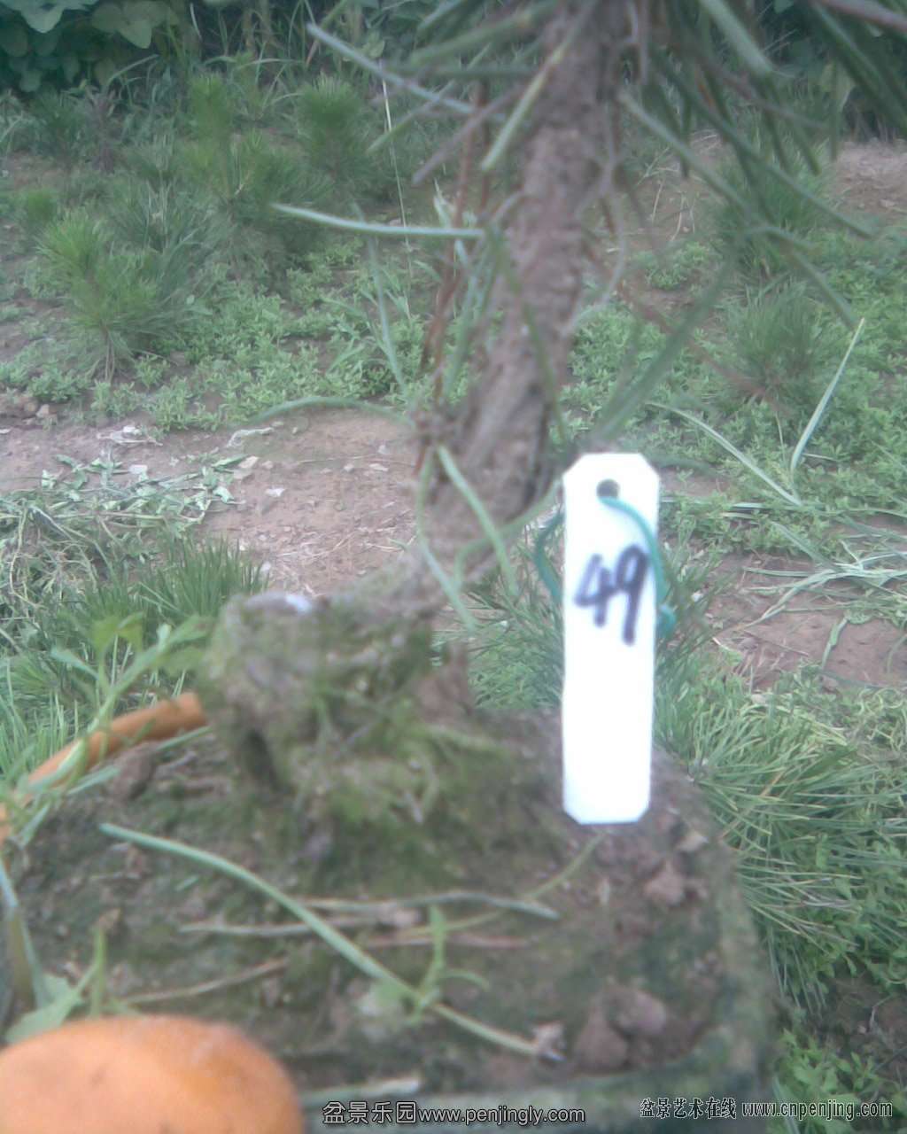 143209tz4n5ne4aejxjees.jpg