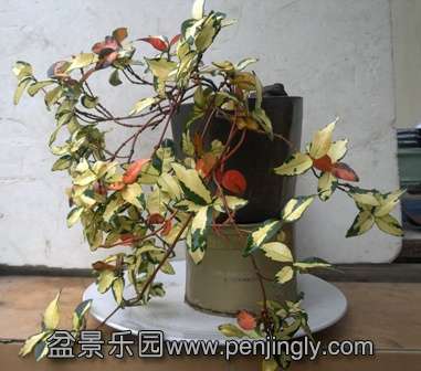 20130826973.jpg