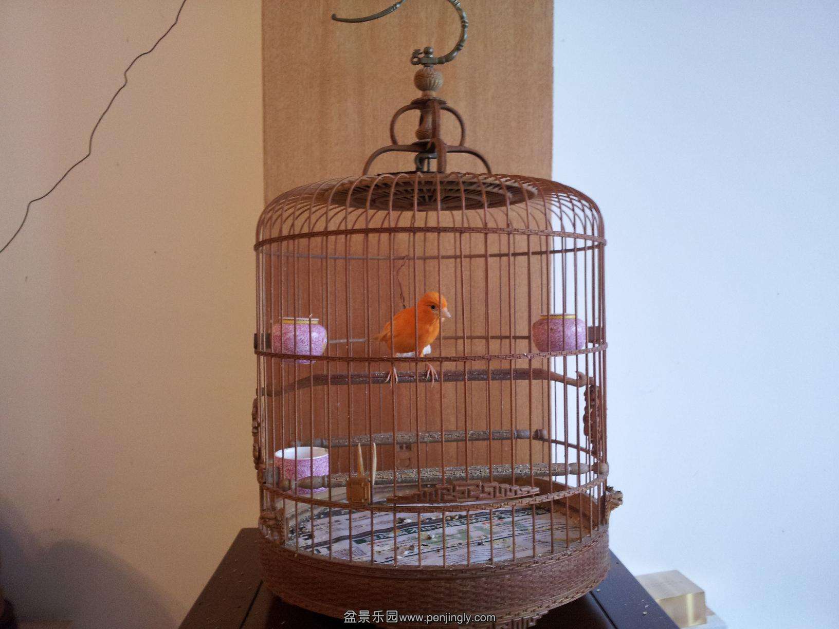 20120220_173032.jpg