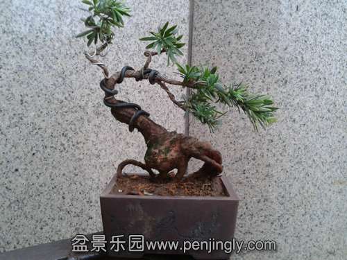 2013-08-25 17.24.46.jpg