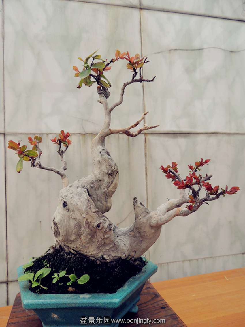 DSCN1493_.jpg
