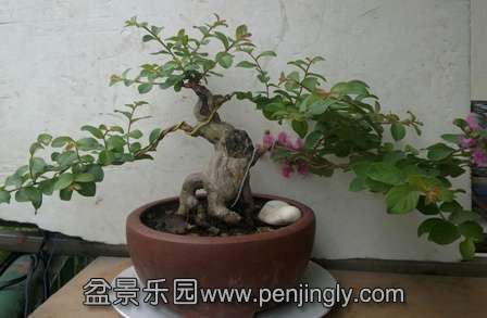 20130826970.jpg