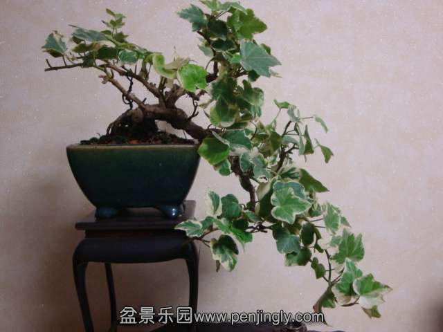 DSC04811.JPG