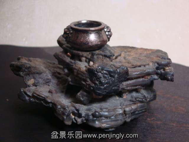 DSC04814.JPG