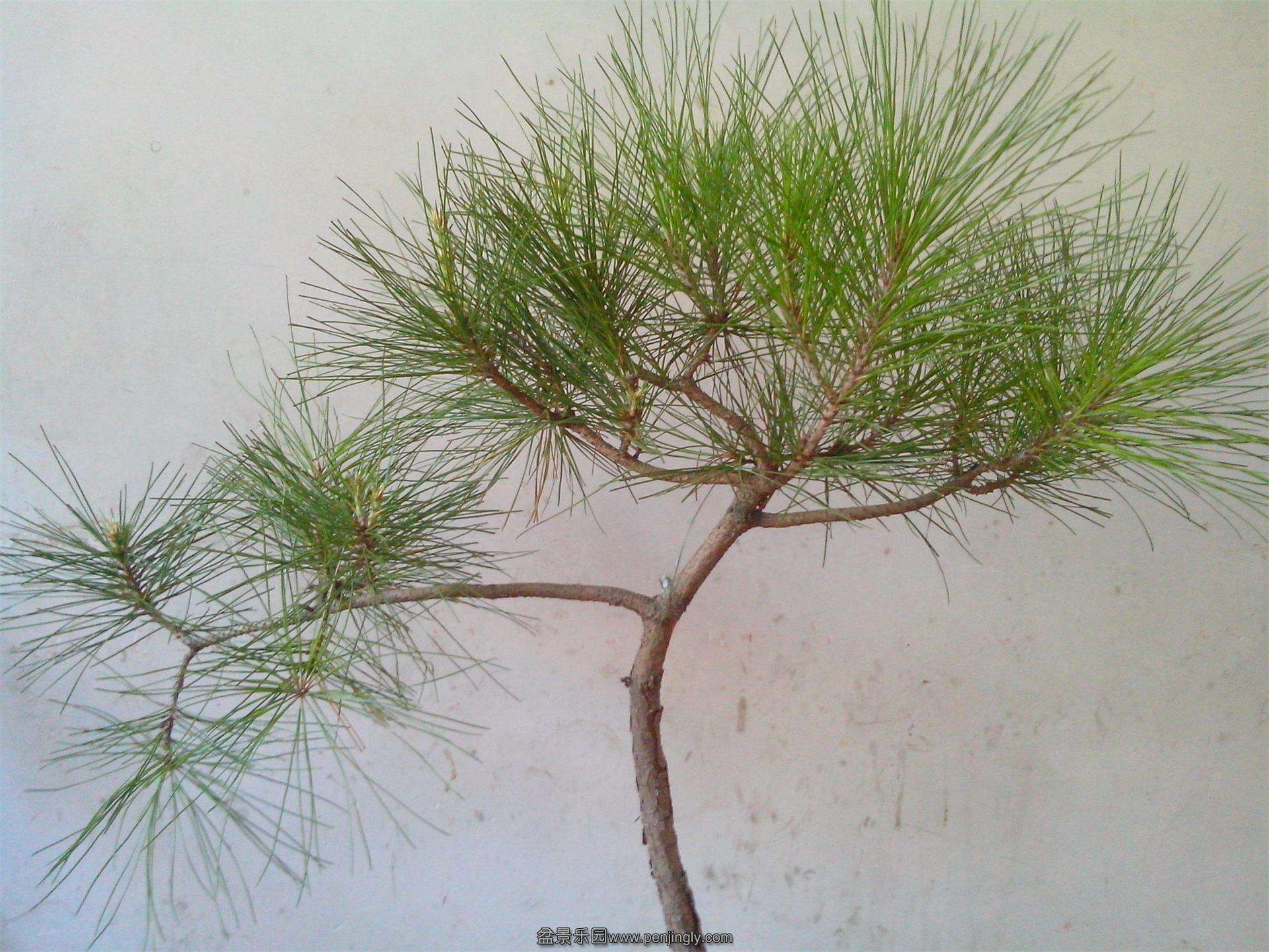 IMG20130807006.jpg