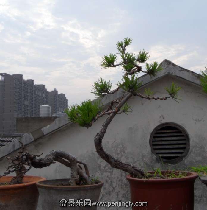 2013829.jpg