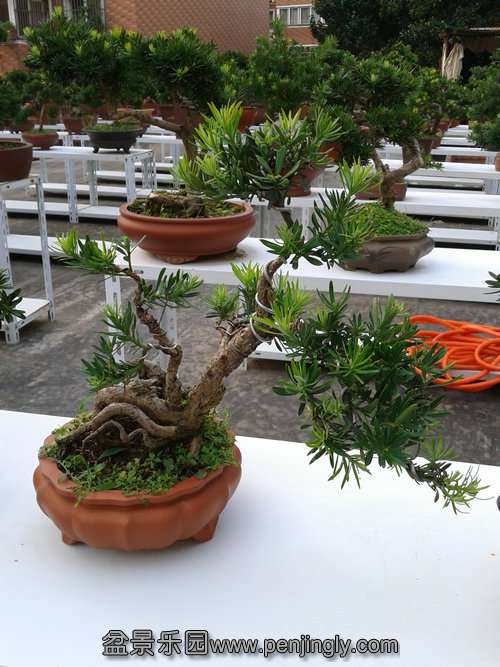 2013-08-28 17.05.47.jpg
