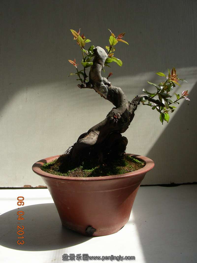 DSCN3406.JPG