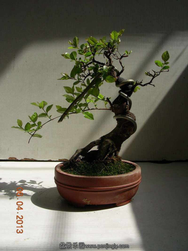 DSCN3407.JPG