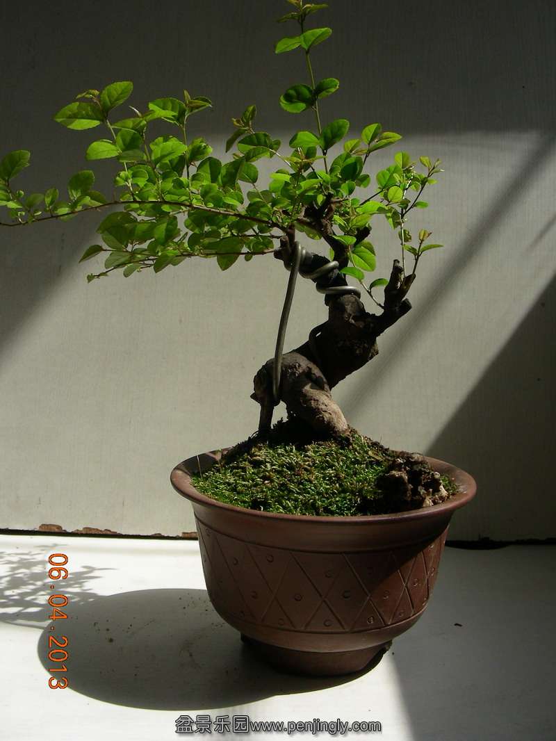 DSCN3411.JPG