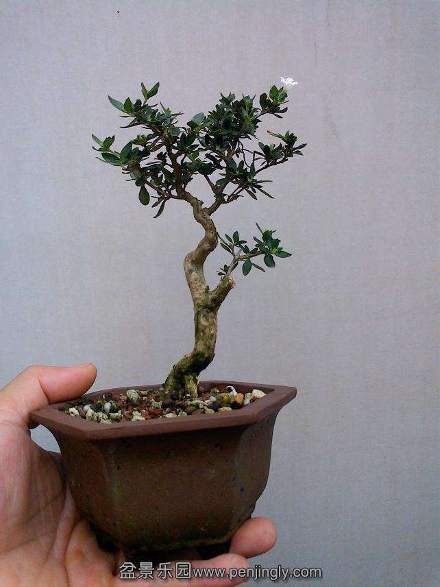 IMG0831102100.jpg