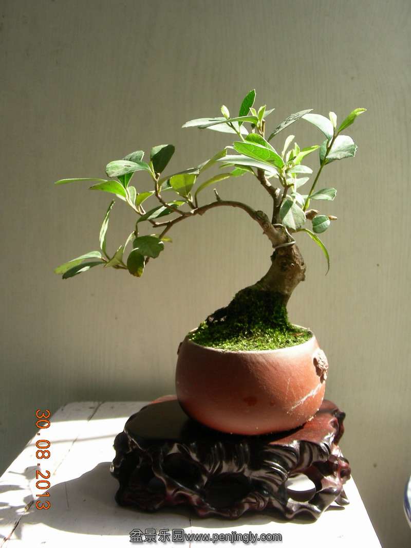 DSCN3500.JPG