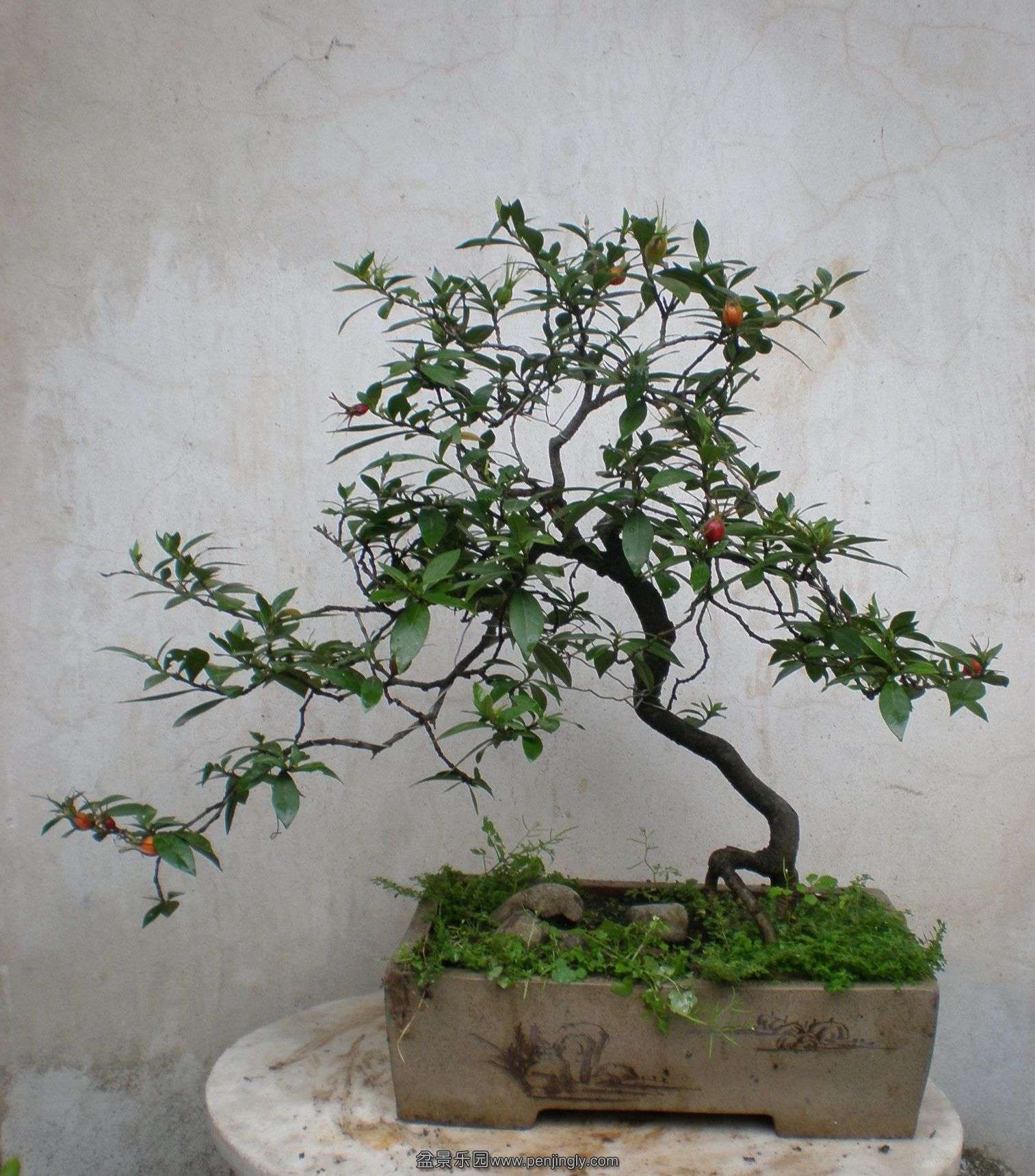 PC080157.JPG