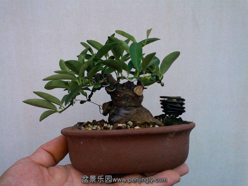 IMG0902110800.jpg