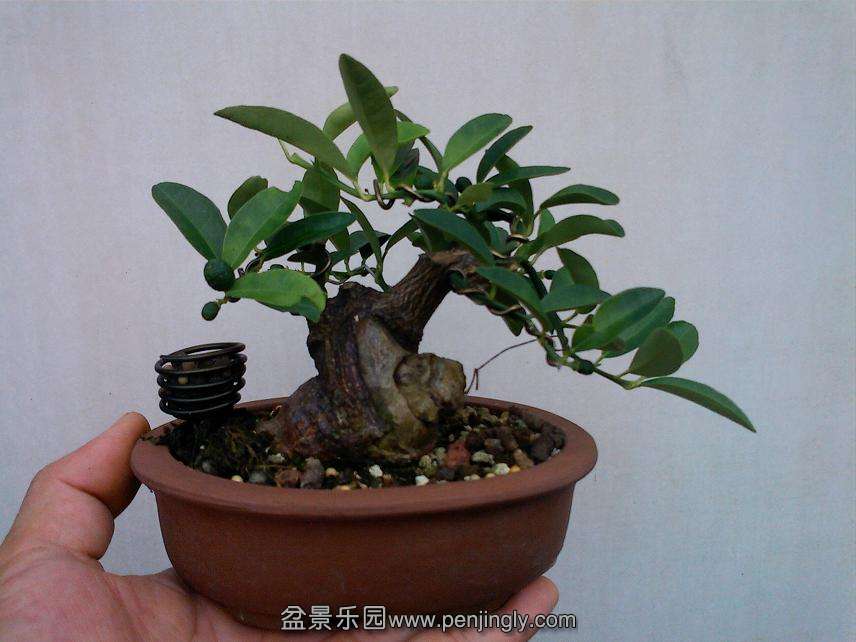 IMG0902110901.jpg