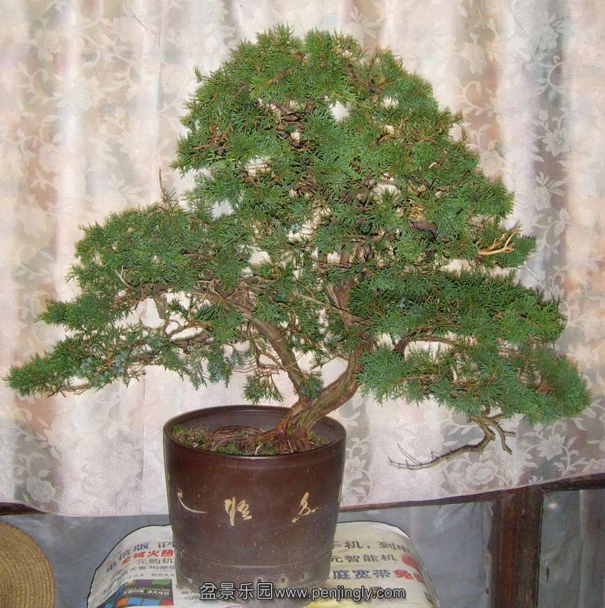 SNV30726.JPG