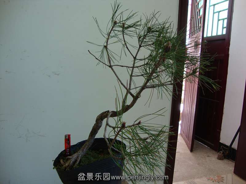 DSC01392_.jpg