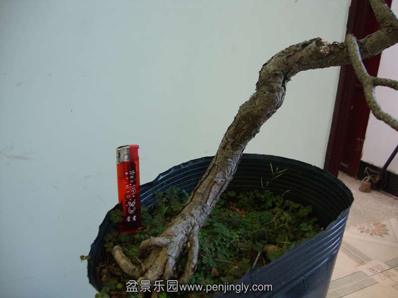 DSC01393_.jpg