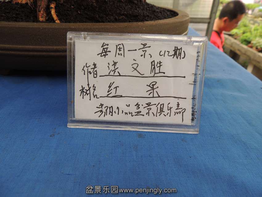 DSCN1533_.jpg