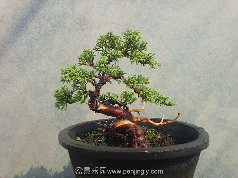 20130904390_副本.jpg