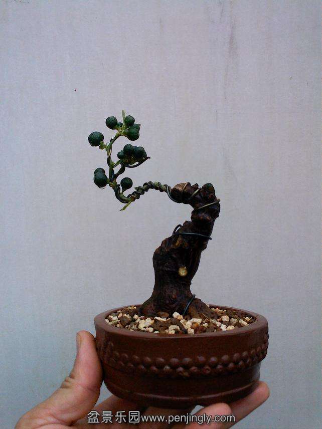 IMG0904104302.jpg