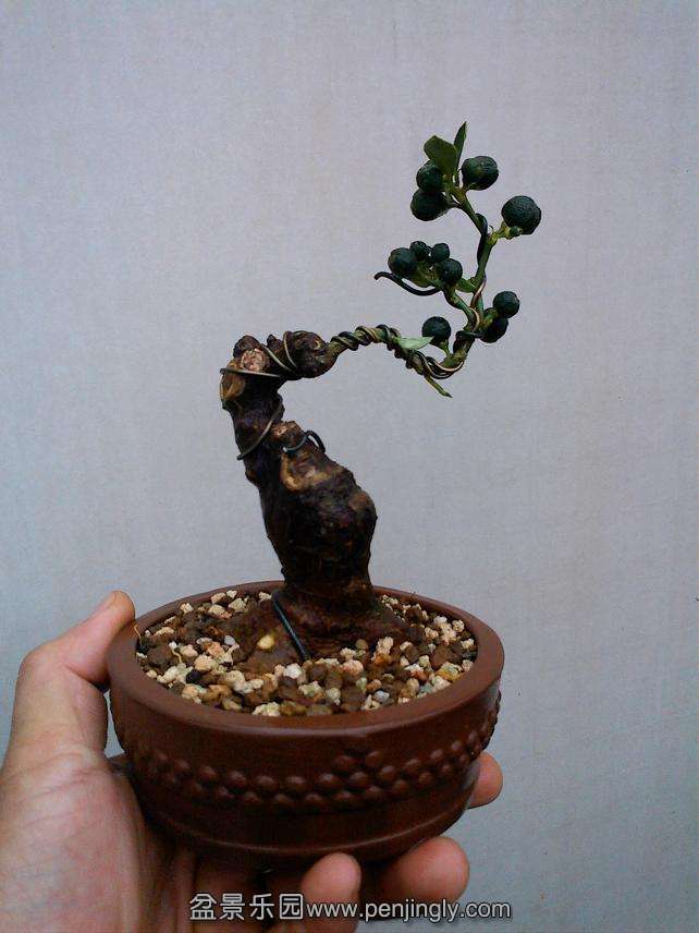 IMG0904104201.jpg