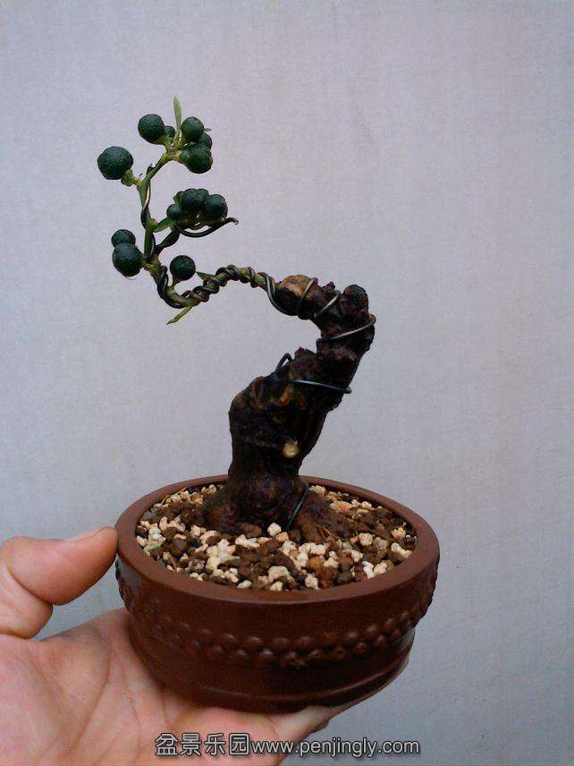 IMG0904104300.jpg