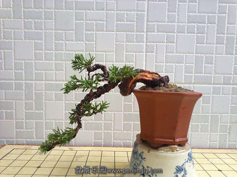 20130905414_.jpg