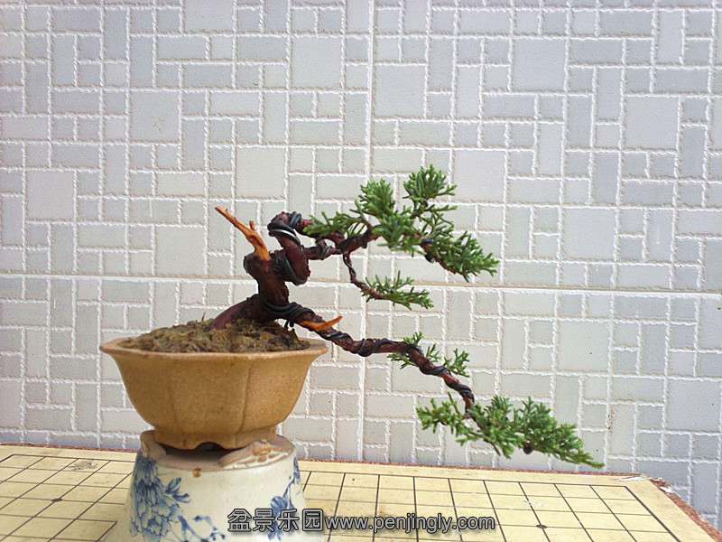 20130905413_.jpg