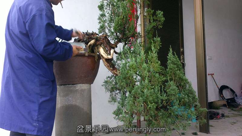 2012-12-18-1407_.jpg