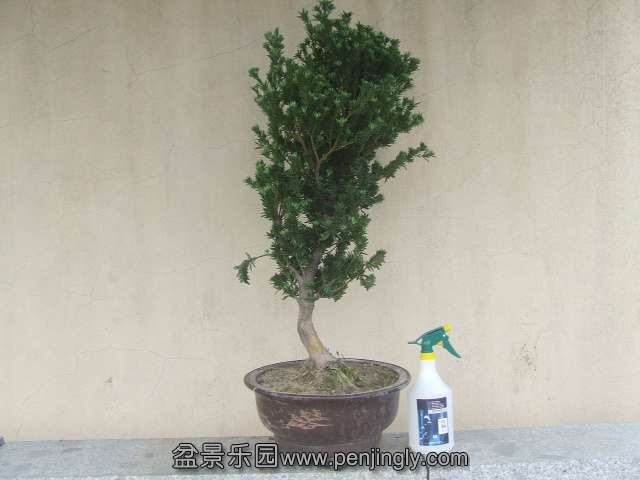 DSCF0680.JPG