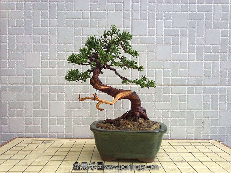 20130905407__.jpg