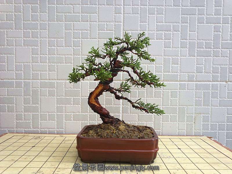 20130905410__.jpg