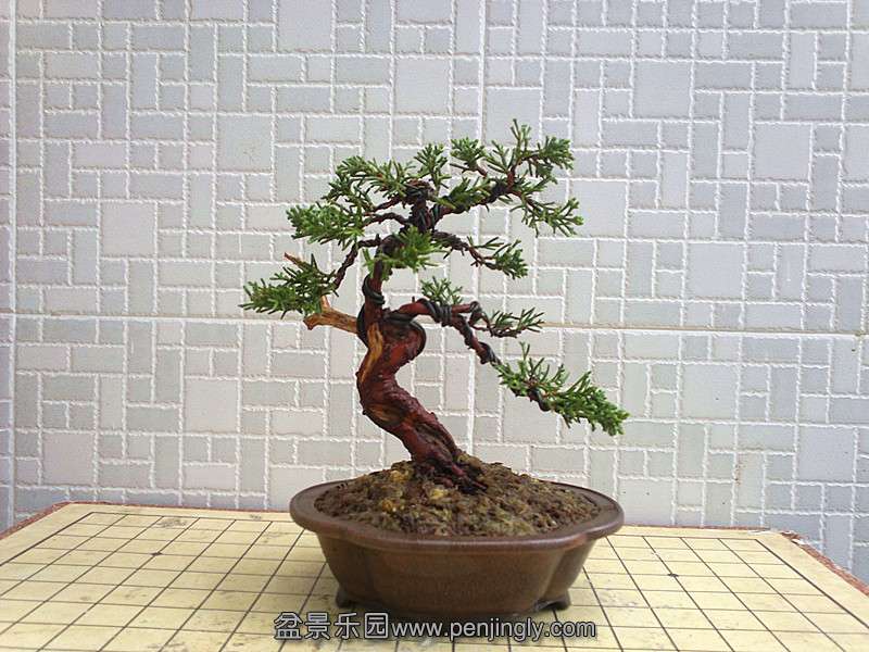 20130905412__.jpg
