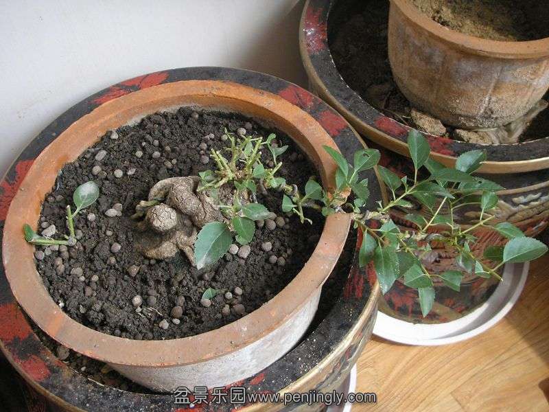 ھ
