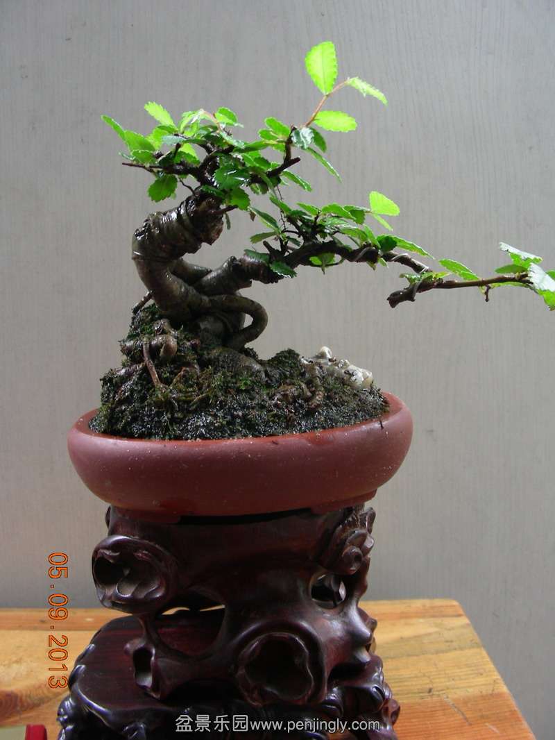 DSCN3534.JPG
