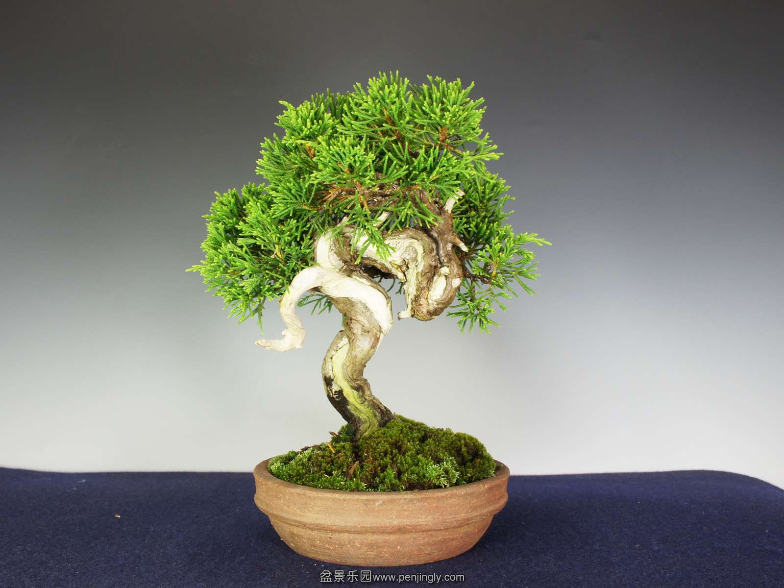 1 (20).jpg