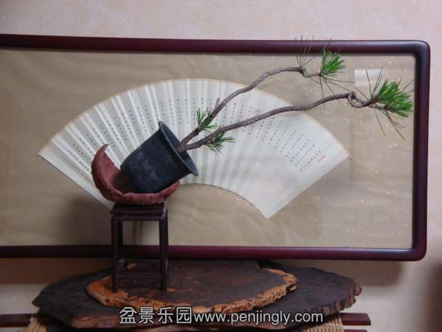 DSC04937.JPG
