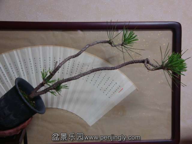 DSC04938.JPG