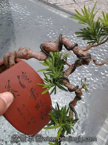 2013-09-08 17.40.27.jpg