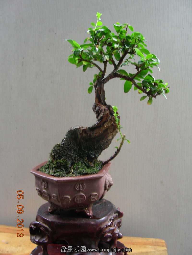 DSCN3544.JPG