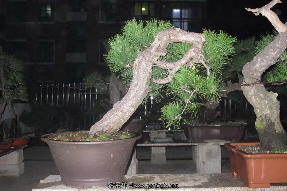 ҳ.JPG