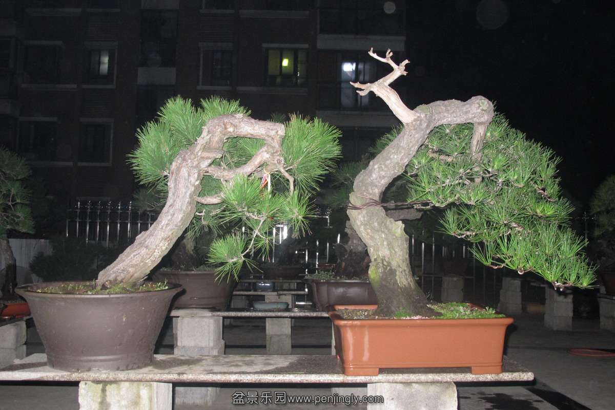 ҳ2.JPG