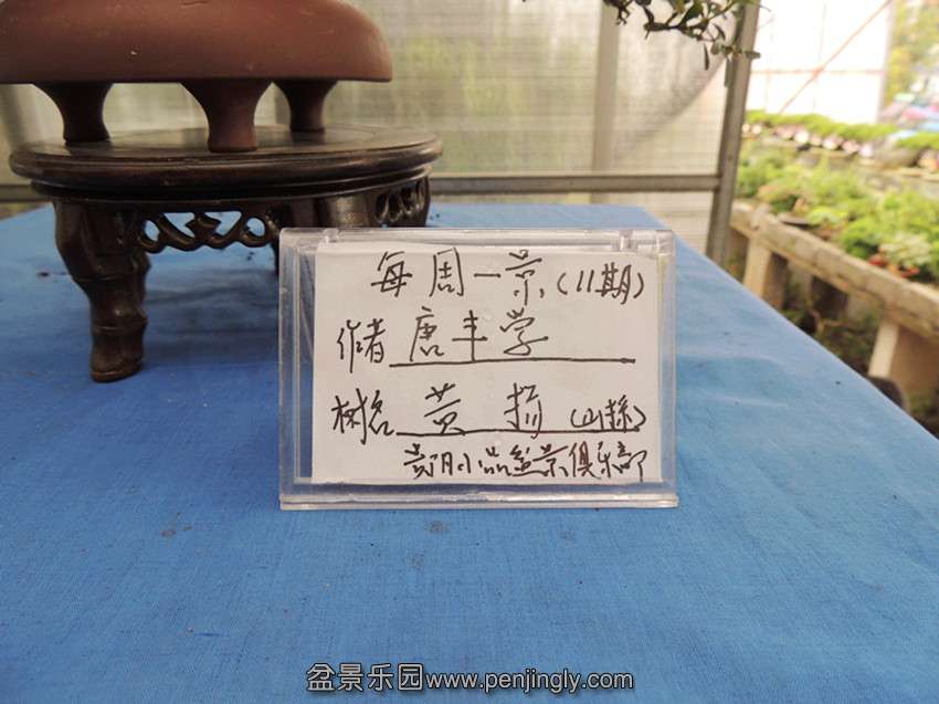 DSCN1540_.jpg