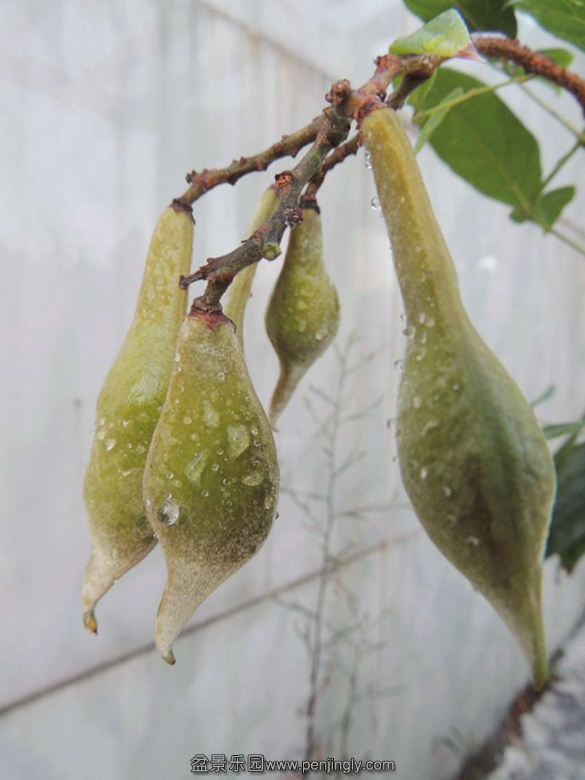 DSCN1405_ת_.jpg