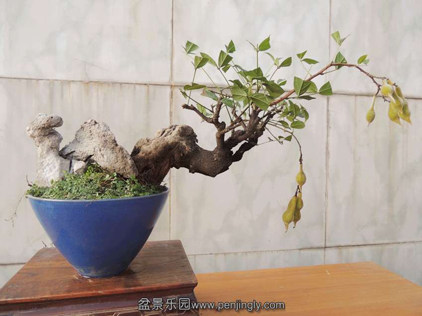 DSCN1589_.jpg